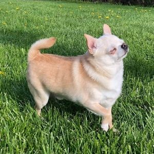 Meet your Posher, Mona